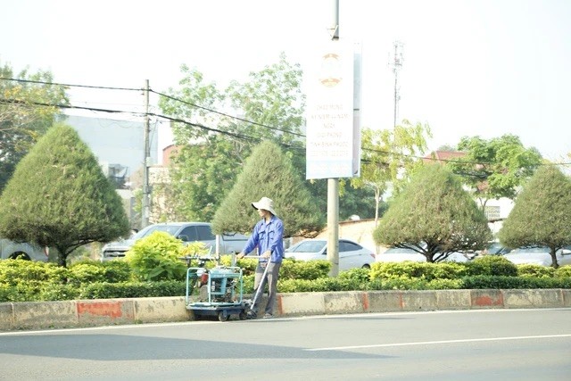 Nhiều địa phương đang rà soát, cung cấp tài liệu liên quan đến các dự án trồng cây xanh, chỉnh trang đô thị