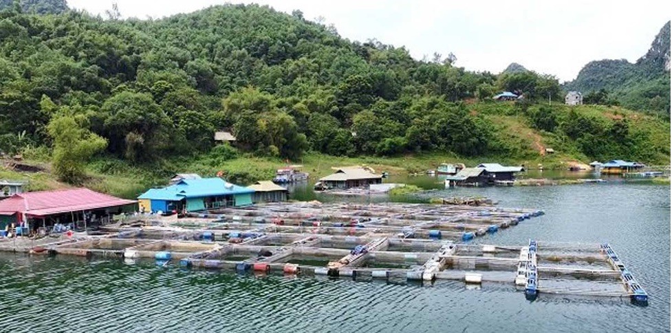 Phát triển kinh tế xã hội Việt Nam theo góc nhìn của ngân hàng thế giới