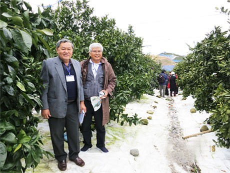 Nông dân Nhật ung dung làm giàu... nhờ đâu?