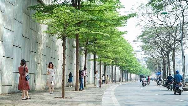 Tiêu chuẩn quốc gia TCVN 9257:2012 về Quy hoạch cây xanh sử dụng công cộng trong các đô thị - Tiêu chuẩn thiết kế