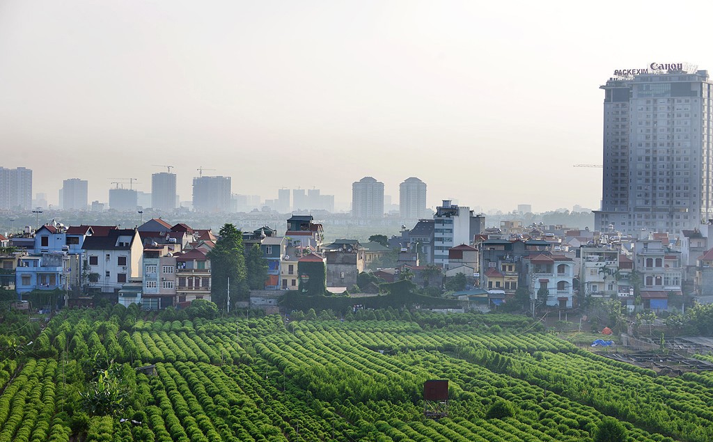 Nông nghiệp đô thị và những vấn đề đặt ra trên địa bàn thành phố Hà Nội (Kỳ 4)