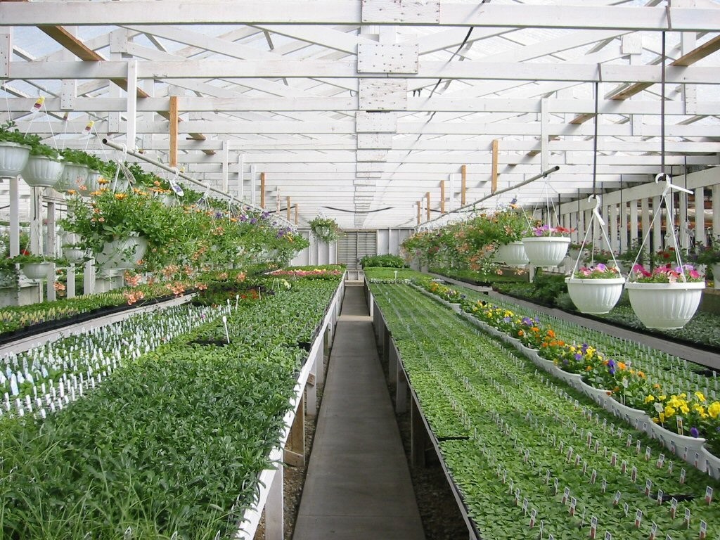 Nông nghiệp đô thị và những vấn đề đặt ra trên địa bàn thành phố Hà Nội (Kỳ 5)