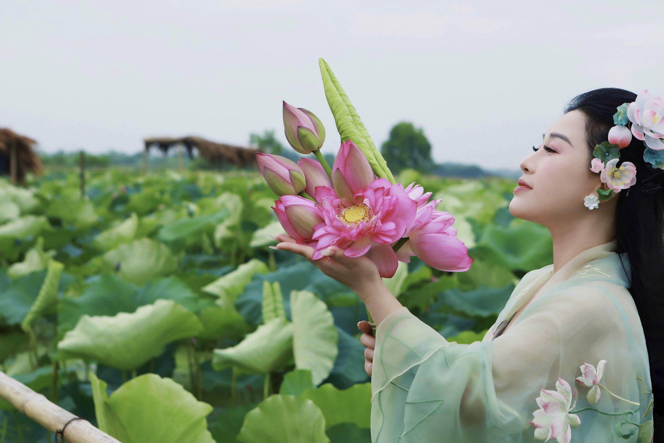 NSƯT Hương Giang hát “Tình Sen” giữa vựa sen Xứ Đoài