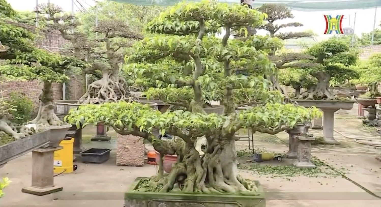 Nghệ nhân Đỗ Nghĩa nói gì về tác phẩm Phượng Hoàng Song Vũ