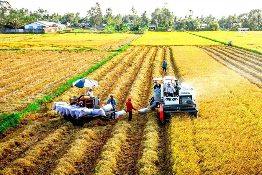 Đảm bảo thu nhập, nâng cao đời sống cho nông dân, HTX trồng lúa