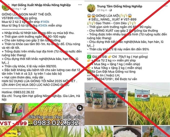 Bắt những đối tượng bán giống lúa “trẻ mãi không già” để lừa chiếm đoạt hơn 7,8 tỷ đồng