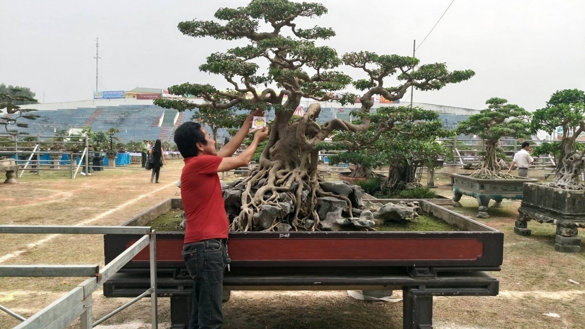 Festival sinh vật cảnh Hà Nội lần thứ nhất thu hút hơn 50 tỉnh thành tham gia
