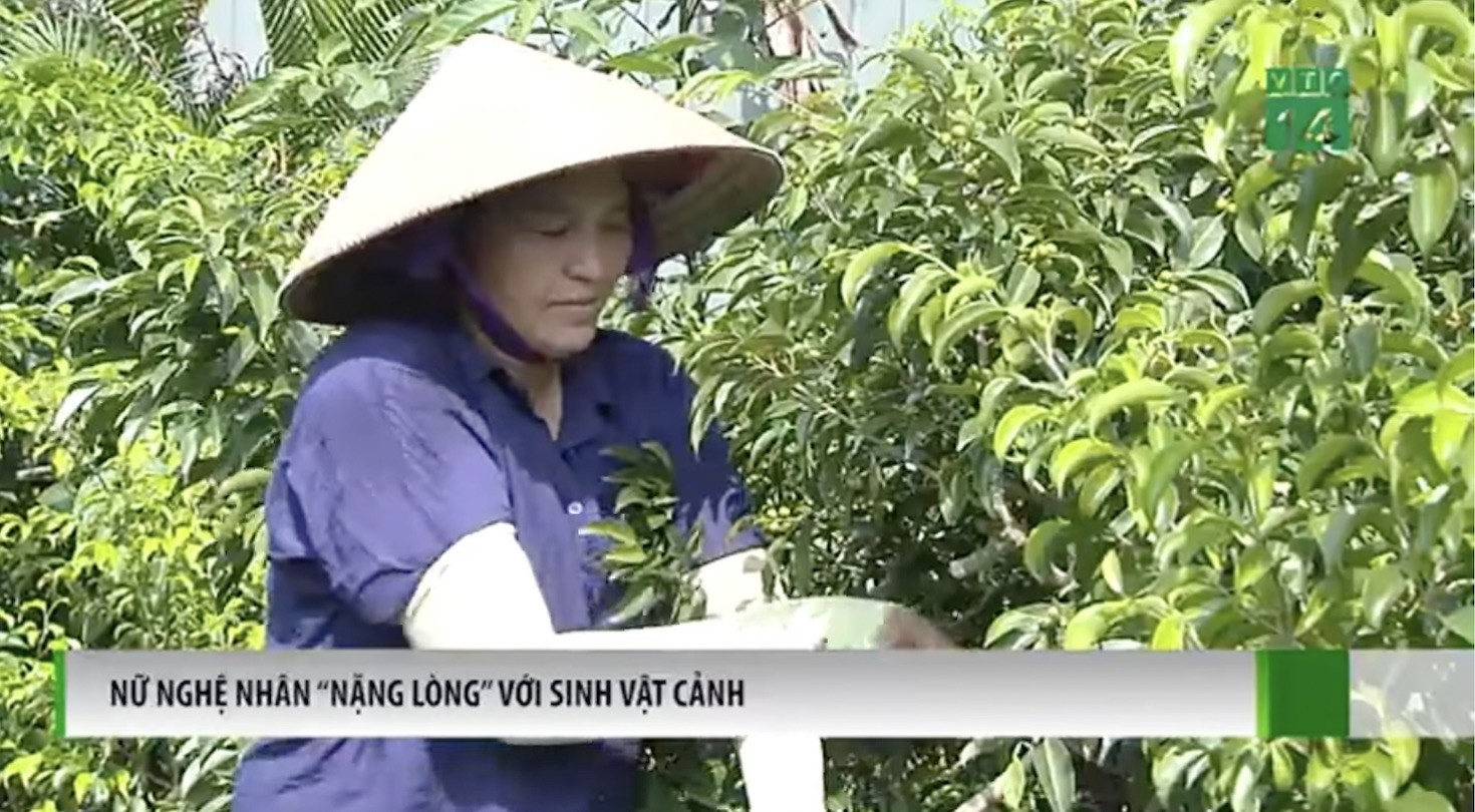 Nữ Nghệ nhân Sinh Vật Cảnh giàu lòng đam mê
