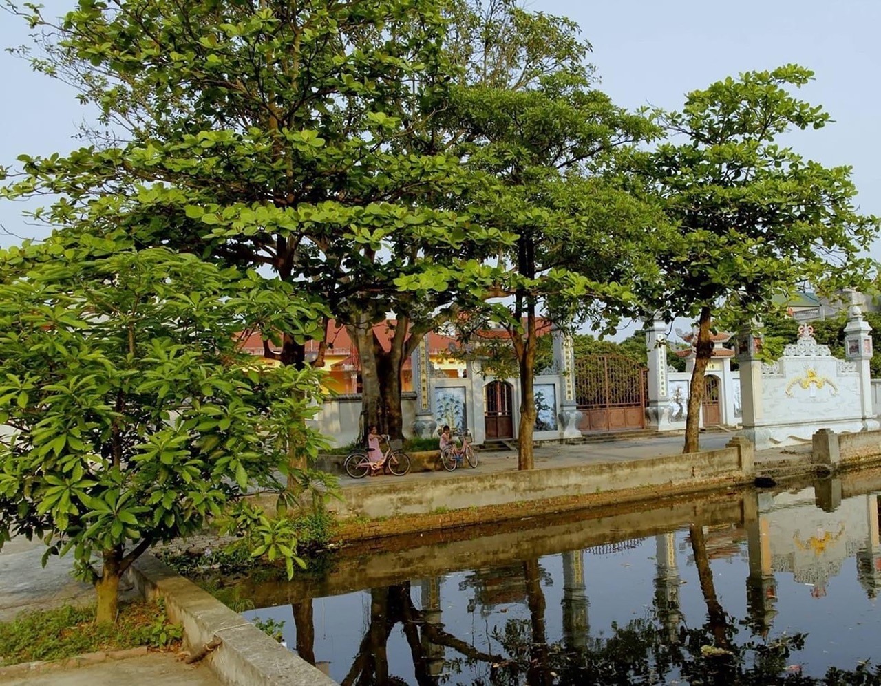 Quản lý hệ thống không gian xanh trên địa bàn TP Hà Nội