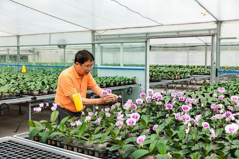 Doanh nhân Nguyễn Văn Kính hiện thực hóa 'giấc mơ' ghi tên Việt Nam trên bản đồ hoa lan thế giới