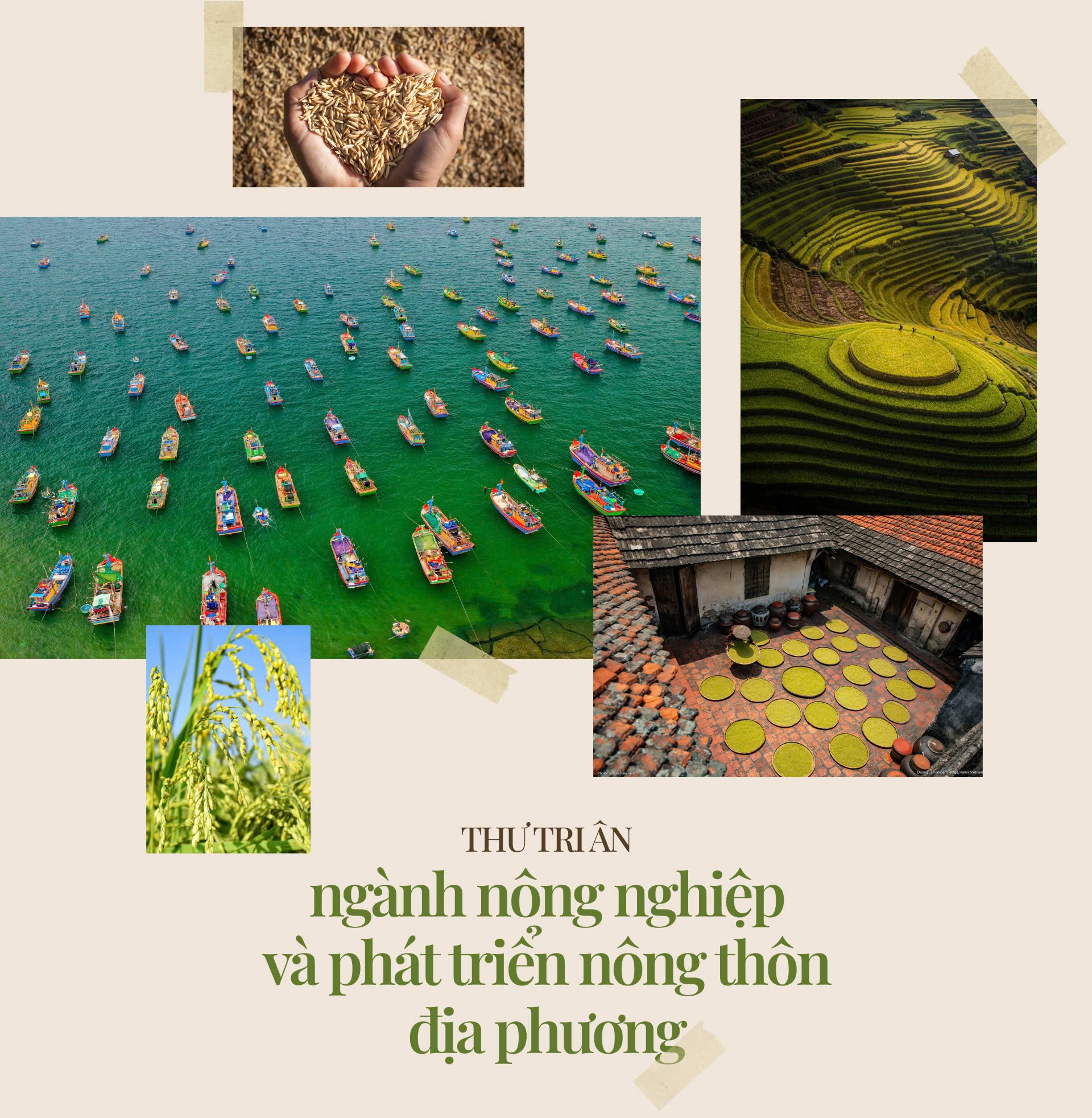 Thư tri ân: Ngành Nông nghiệp và Phát triển nông thôn địa phương