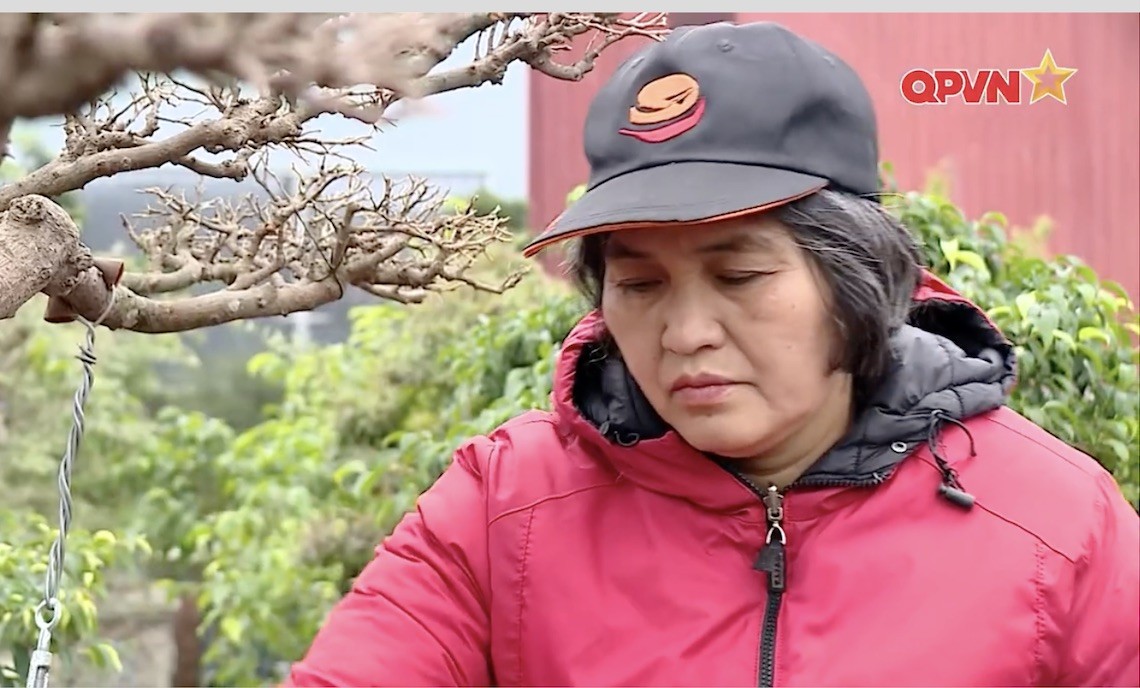 Nghệ nhân Nguyễn Thị Hiện: Hành trình tỏa sáng cùng sinh vật cảnh