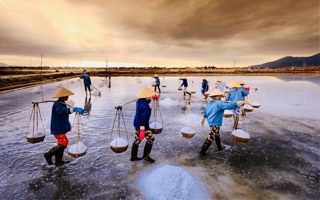 Sắp diễn ra Festival Nghề muối Việt Nam - Bạc Liêu năm 2025