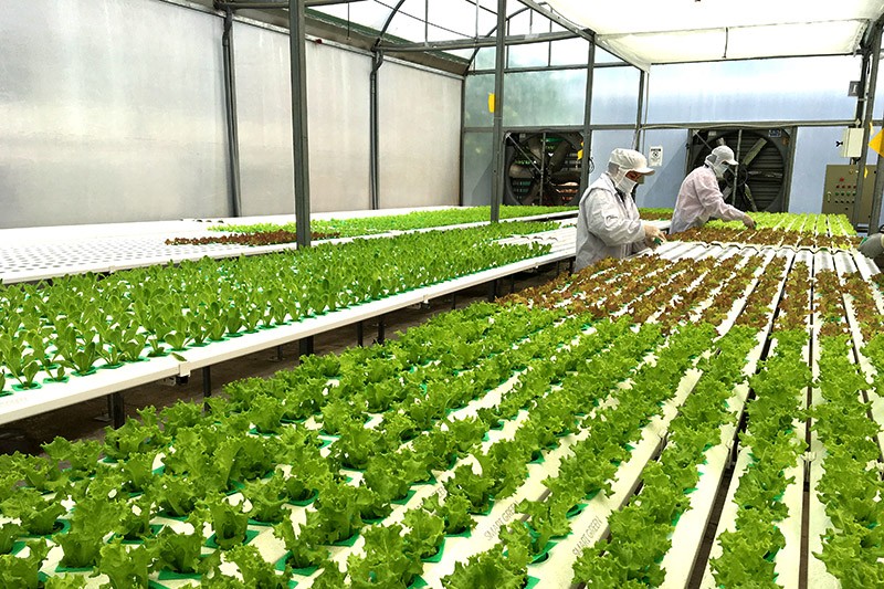 Đầu tư cho hệ thống nghiên cứu KHCN và nông nghiệp