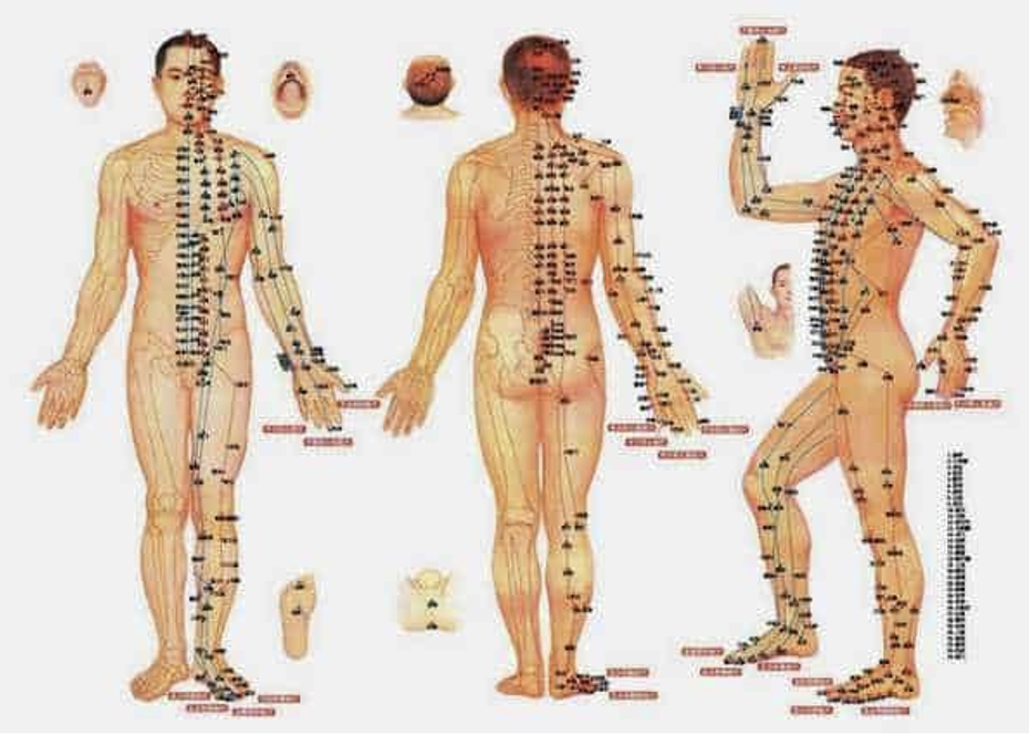 Thành công chữa trị của y học dân tộc