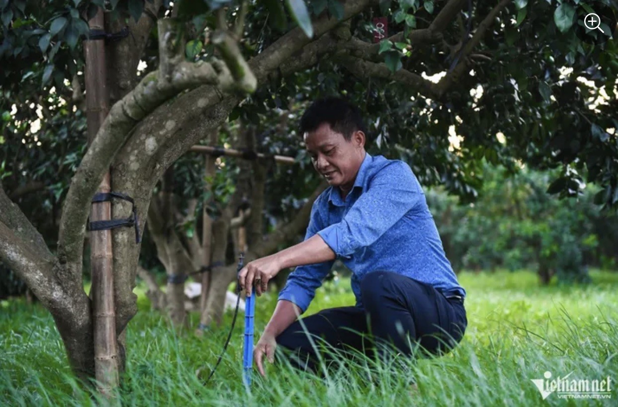 Ứng dụng công nghệ cao giúp nông dân thoát nghèo