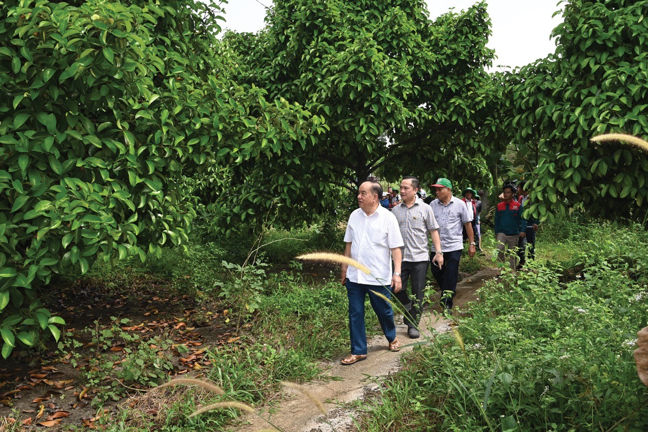 Thủy chung với nông nghiệp Tuần Hoàn