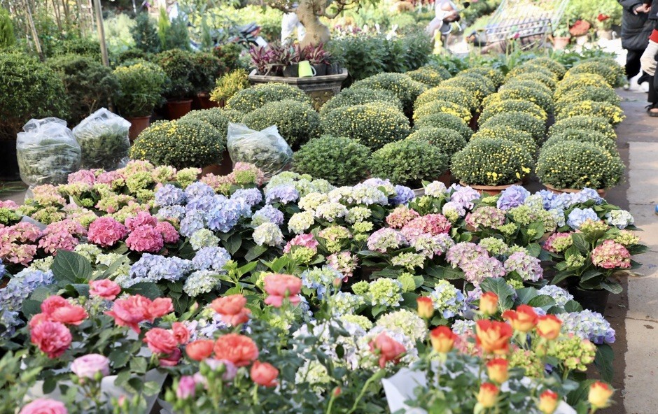 Ứng dụng khoa học công nghệ trong phát triển mô hình làng hoa, cây cảnh gắn với du lịch tại Hà Nội