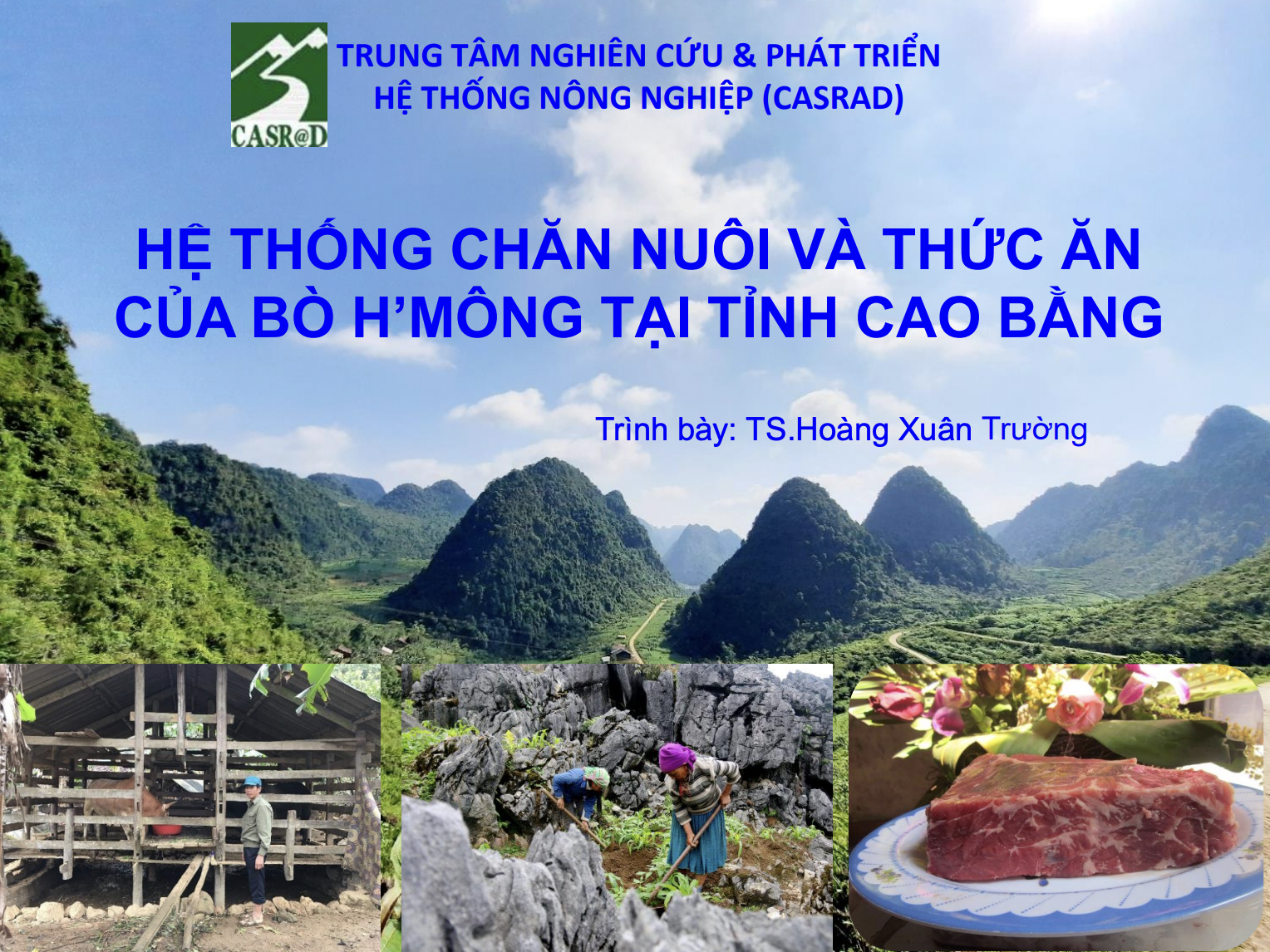anh12-1758357240.png