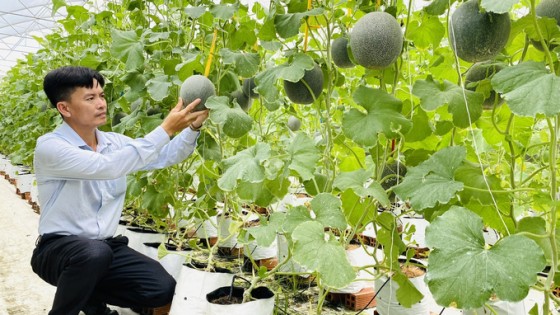 Xây dựng đội ngũ nông dân chuyên nghiệp trong thời đại kinh tế số