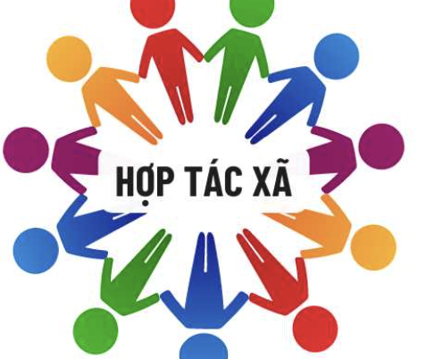 Phát triển thành viên chính thức: Nền tảng bền vững của hợp tác xã