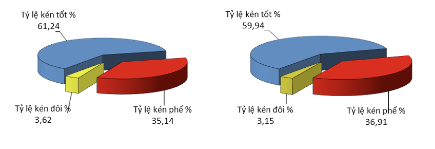 anh1-1760269258.png