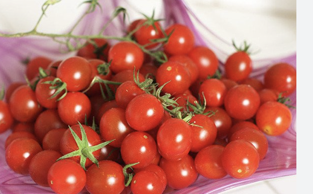 Nghiên cứu khả năng kết hợp và biểu hiện một số tính trạng năng suất, độ Brix của một số mẫu giống cà chua quả nhỏ