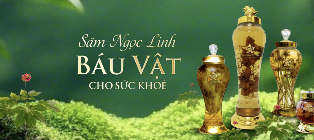 Thảo Nguyên - Lan toả giá trị dược liệu Ngọc Linh, giữ gìn sức khoẻ cộng đồng