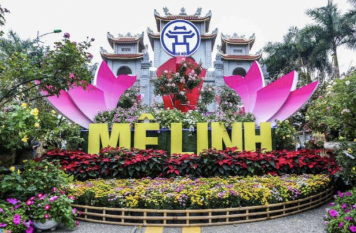 Từ làng nghề đến thị trường quốc tế: Bài toán thiết kế sáng tạo cho sản phẩm OCOP Việt Nam