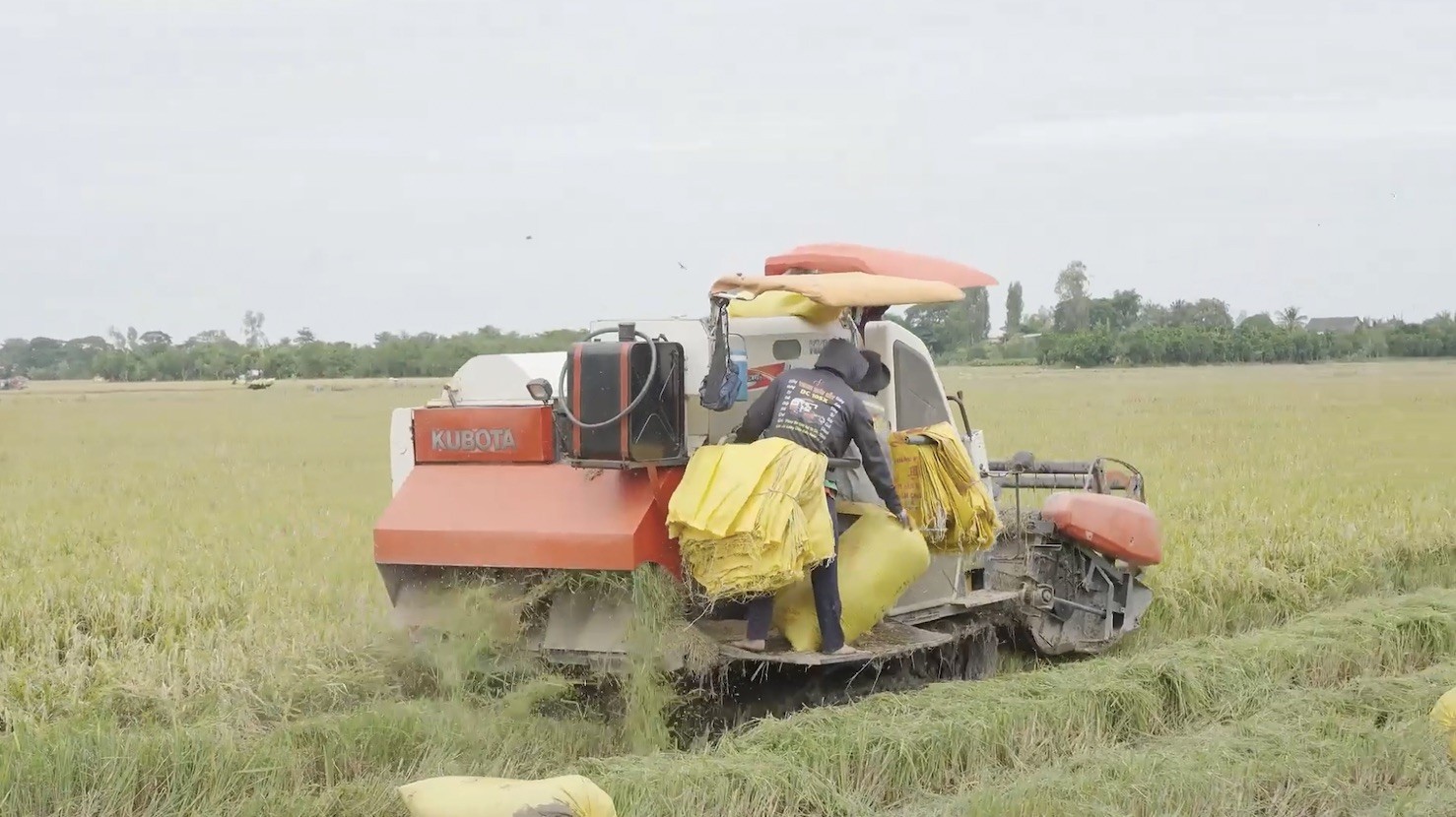 Phóng sự HTX Tân Bình và HTX Cồn Sơn