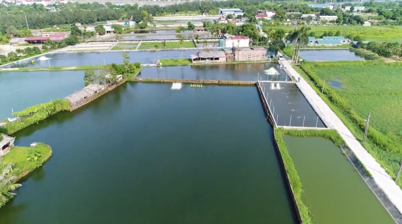 Các thủ lĩnh trẻ thúc đẩy khởi nghiệp sáng tạo HTX nông nghiệp