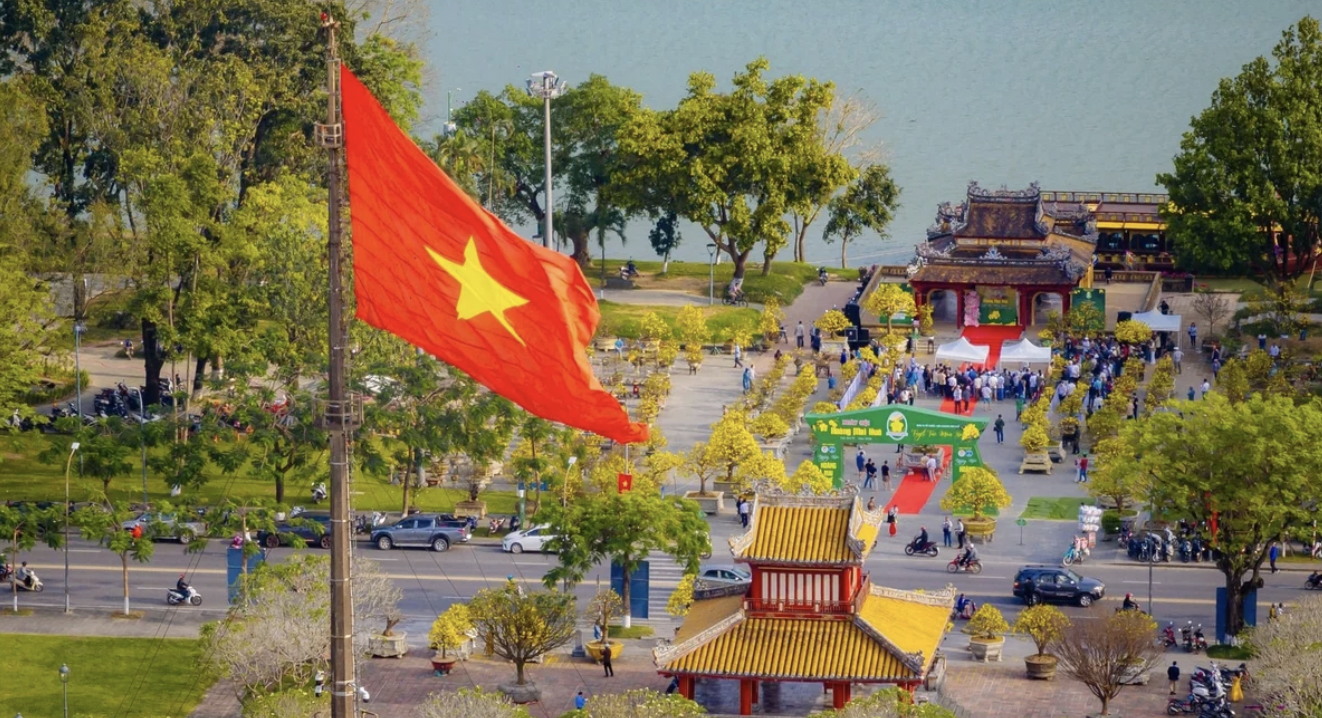 Hoàng mai xứ Huế khoe sắc bên dòng Hương