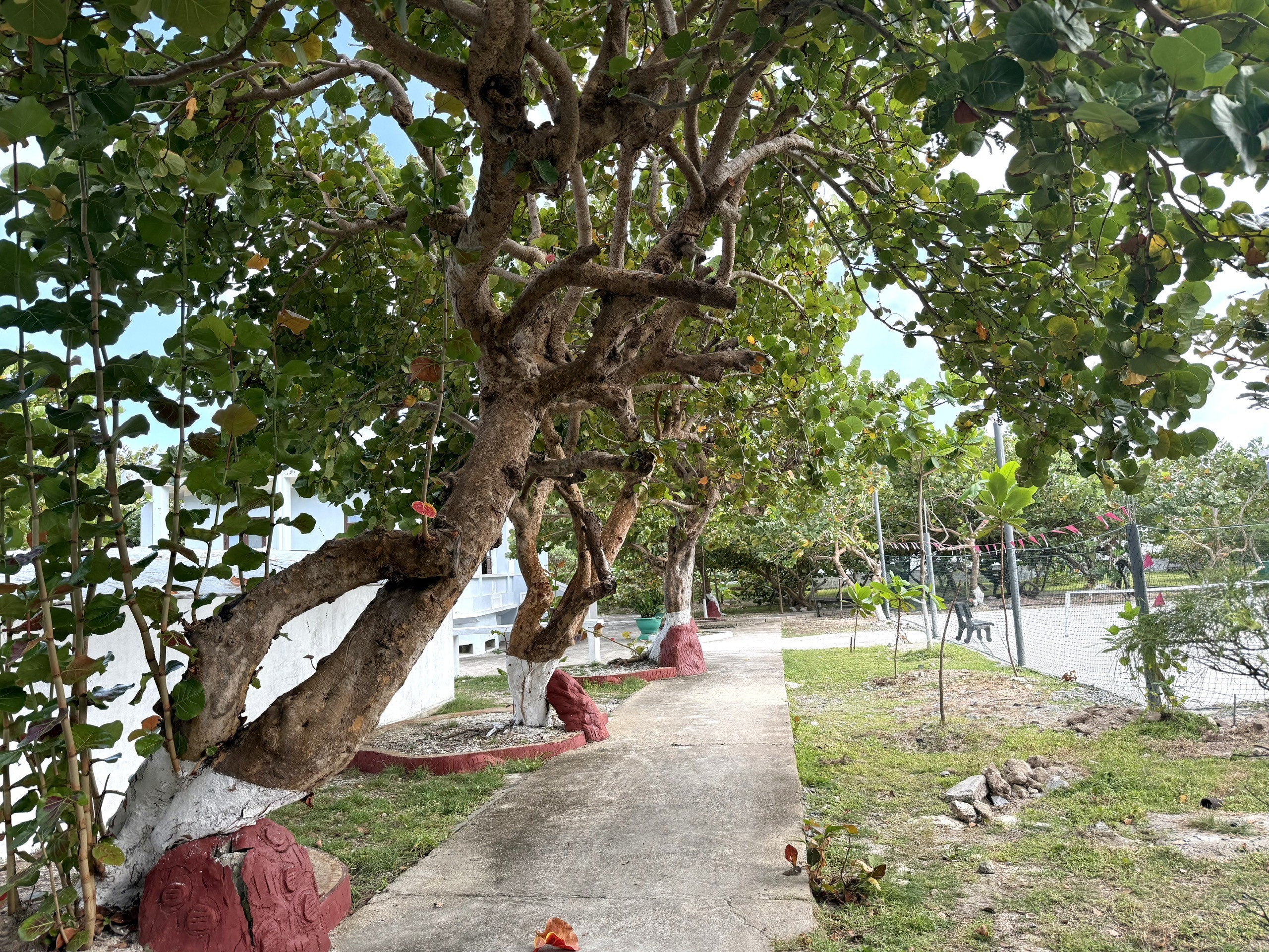 Lần đầu đến Trường Sa