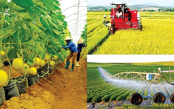 Kinh nghiệm quốc tế về phát triển chuỗi giá trị nông nghiệp bền vững tại Việt Nam và khuyến nghị chính sách