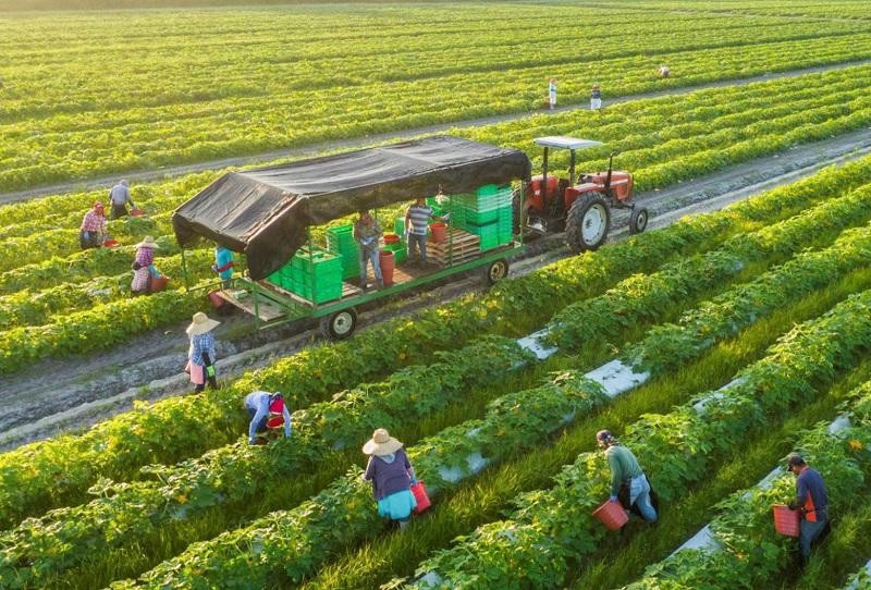 123-1790084712.jpg