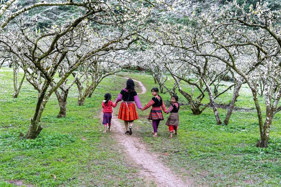 Du khách quốc tế phản hồi tích cực khi trải nghiệm du lịch tại Việt Nam