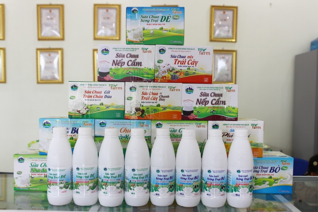 Sữa Nông trại Ba Vì Myfarm để lại nhiều dấu ấn tại Chợ đêm trên mây