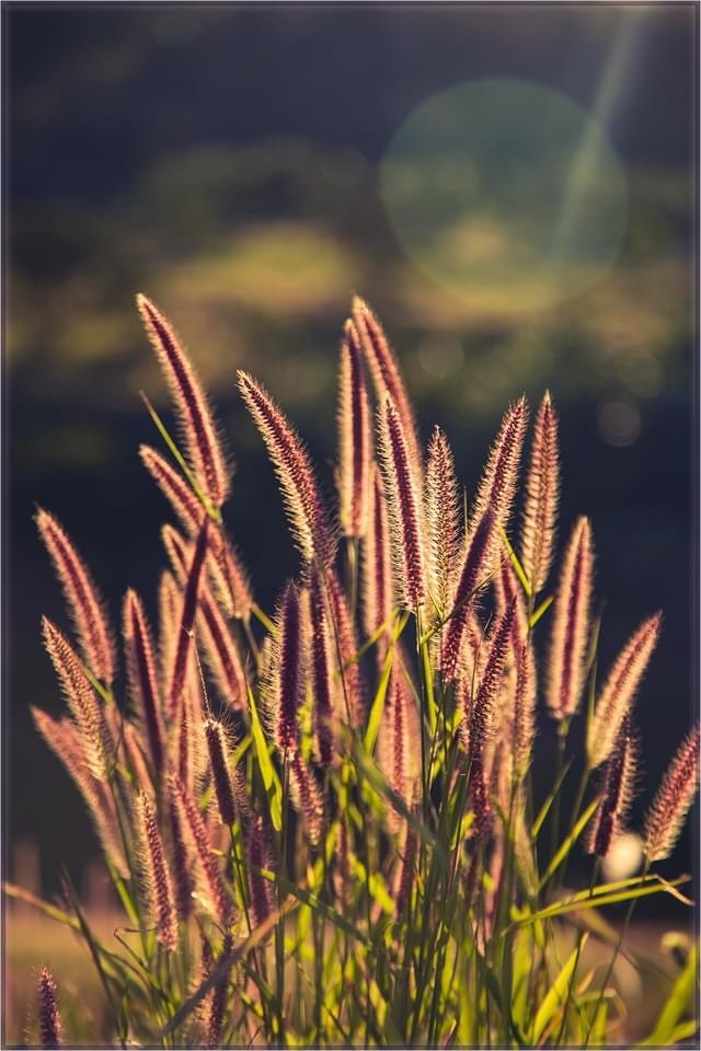 Quốc hội sẽ thông qua Luật Đất đai sửa đổi vào tháng 10/2023