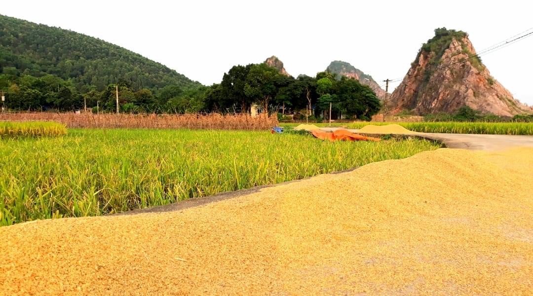 ĐỢI THU VỀ - Thơ Vũ Dũng