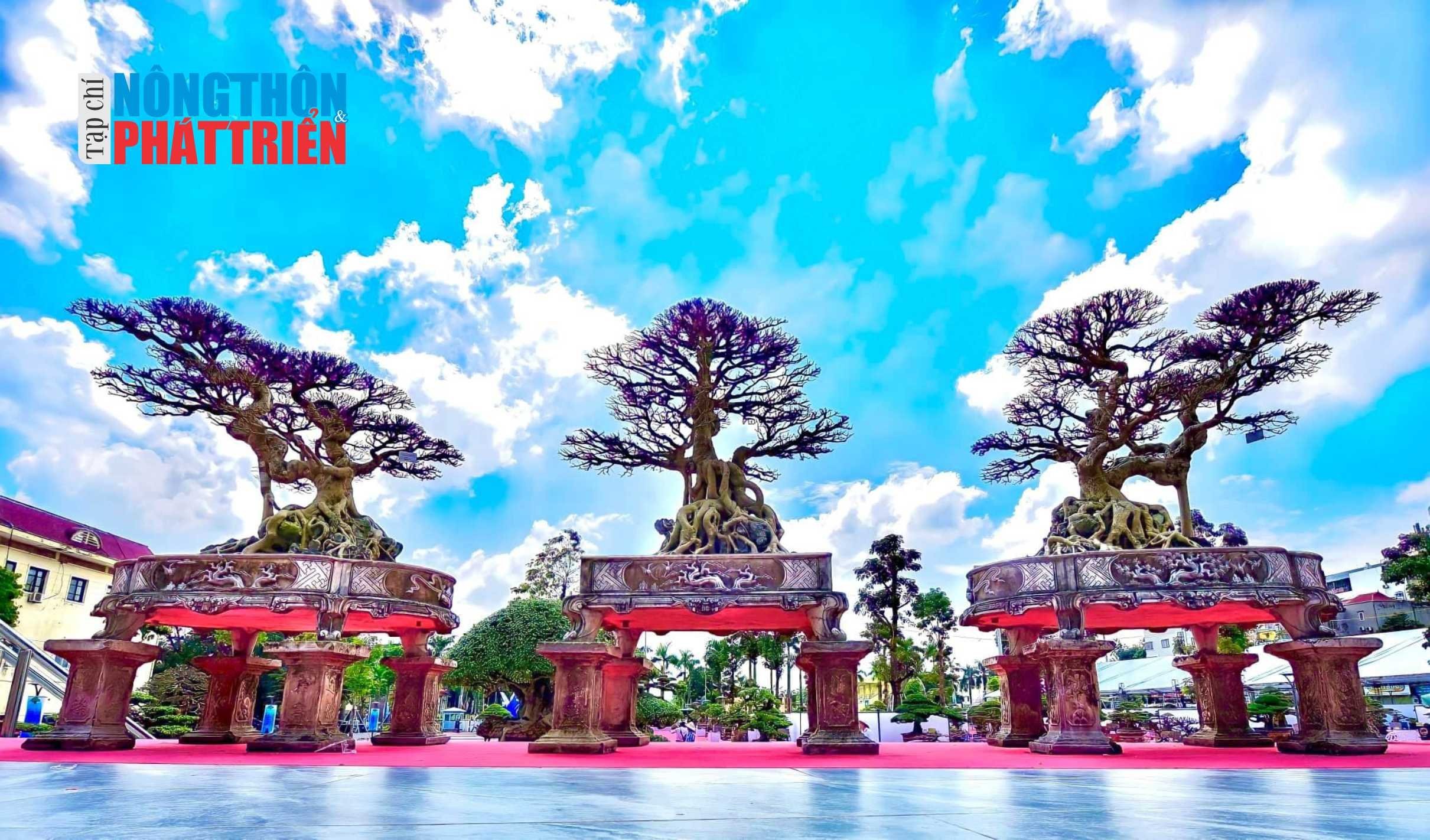 Tạp chí Khoa học Phát triển Nông thôn Việt Nam cung cấp dịch vụ số hóa dữ liệu cây cảnh nghệ thuật