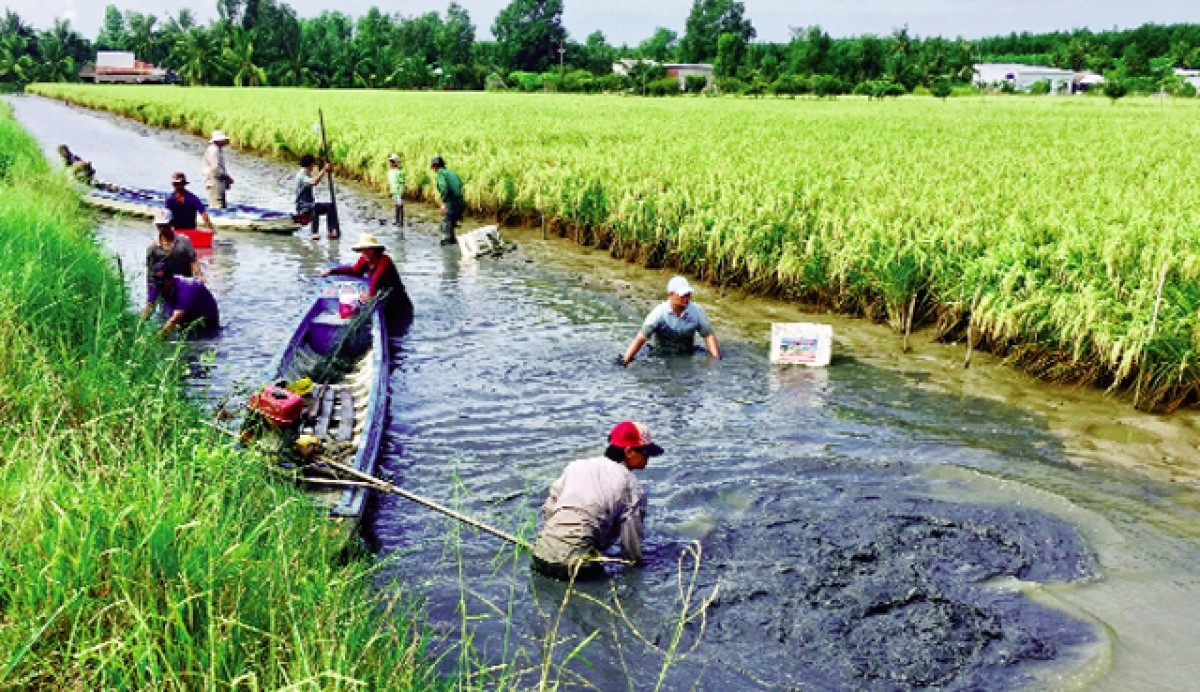Hậu Giang: Sơ kết  thực hiện dự án khu vực “Các Trung tâm đổi mới sáng tạo xanh”