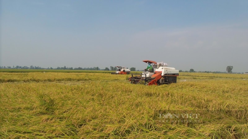 Thúc đẩy đổi mới sáng tạo nông nghiệp tại An Giang
