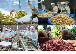 Nâng cao chất lượng, đẩy mạnh năng suất nông sản Việt gắn với mục tiêu bền vững năm 2023