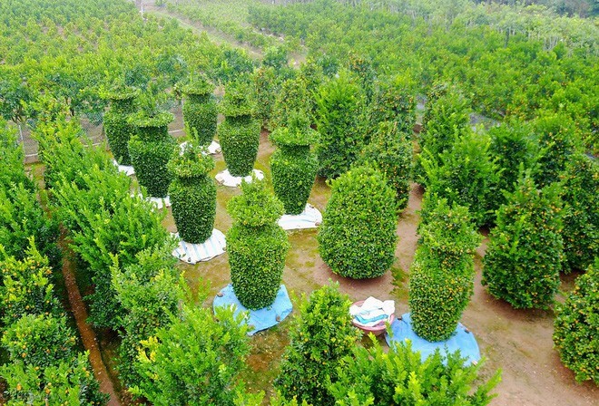 Những sản phẩm độc, lạ thu hút tài lộc, may mắn xuân Quý Mão 2023