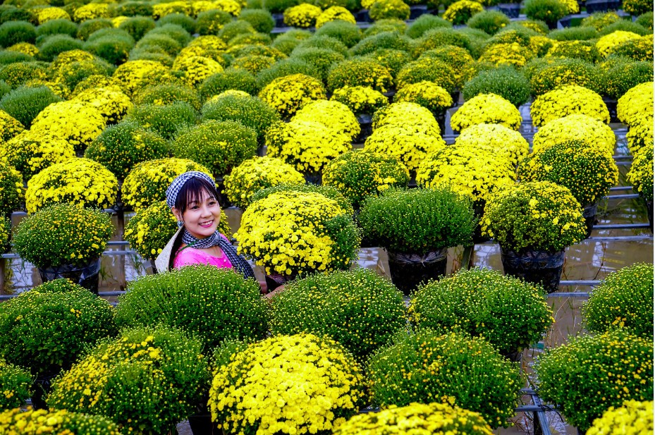 PHOTO: Chùm ảnh Sắc Xuân Phương Nam của NSNA Đào Minh Xuyên