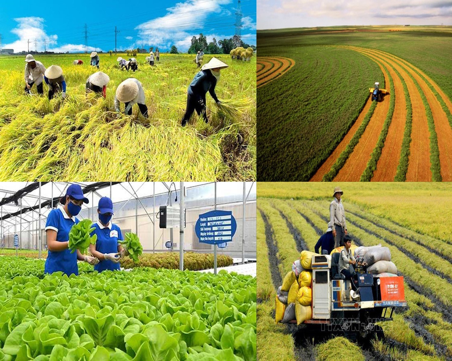 Luồng sinh khí mới từ hướng nông nghiệp tích hợp đa giá trị