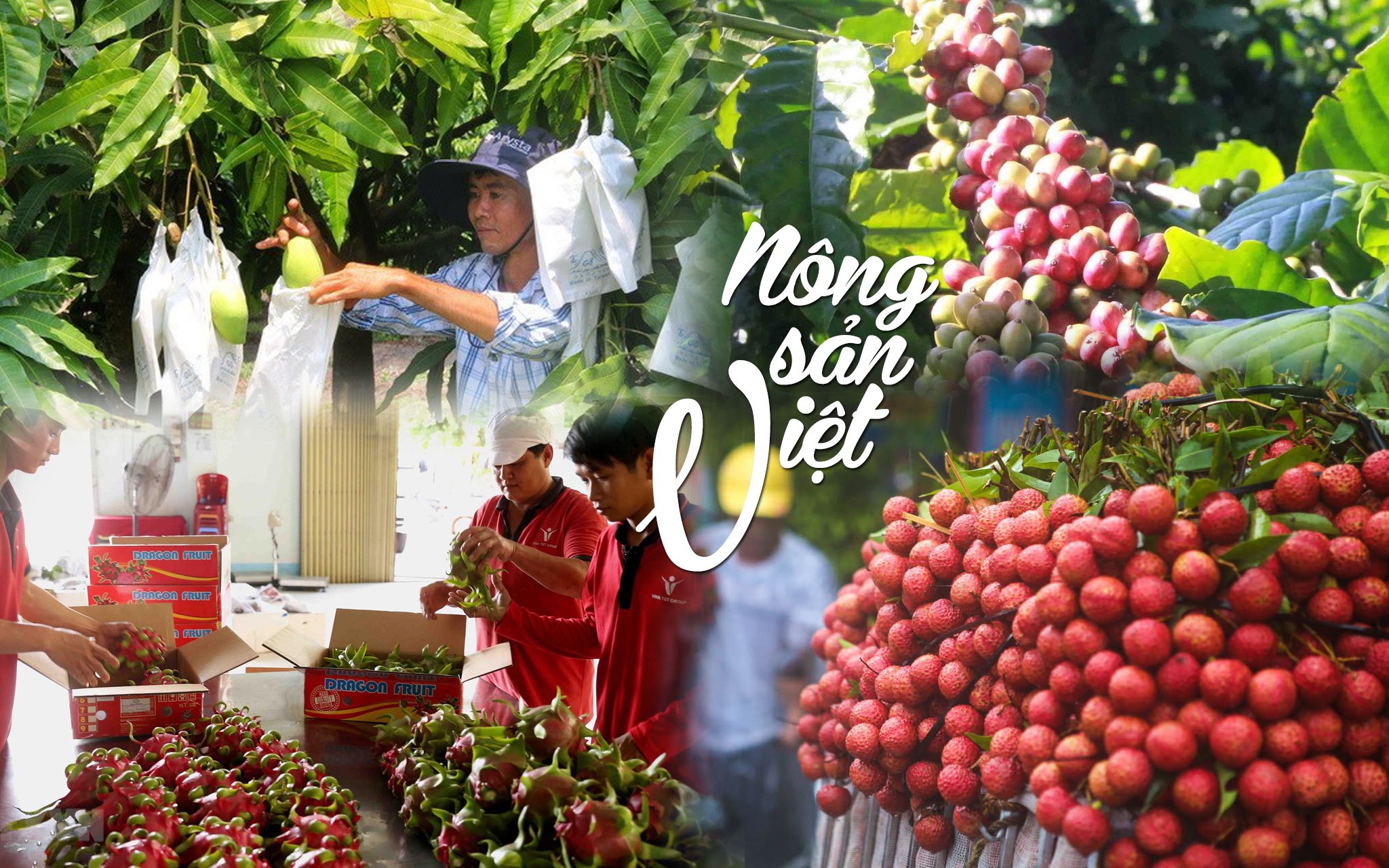 Tăng tốc xuất khẩu nông - thủy sản ngay sau tết Nguyên đán