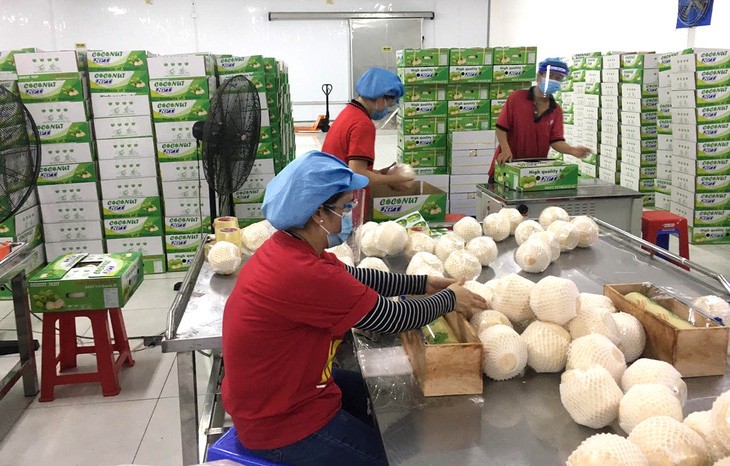 Để nông sản Việt có những thương hiệu kiểu 'nho mẫu đơn Hàn Quốc'