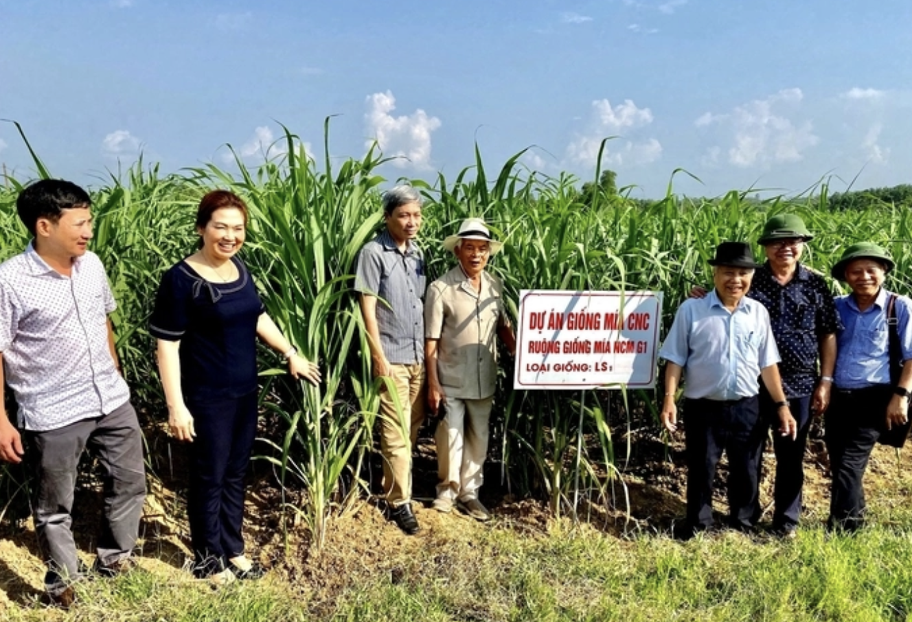 Những kỷ niệm với GS.TS Nguyễn Quang Thạch