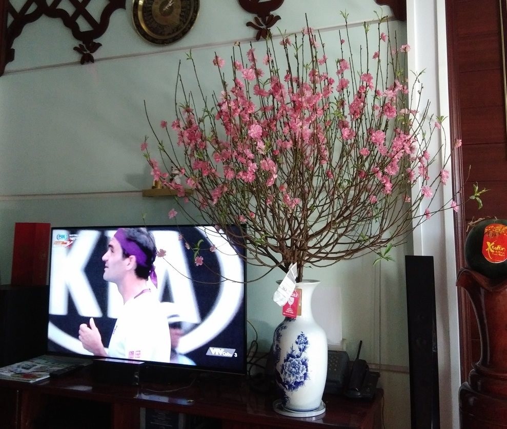 Nhớ đào Nhật Tân